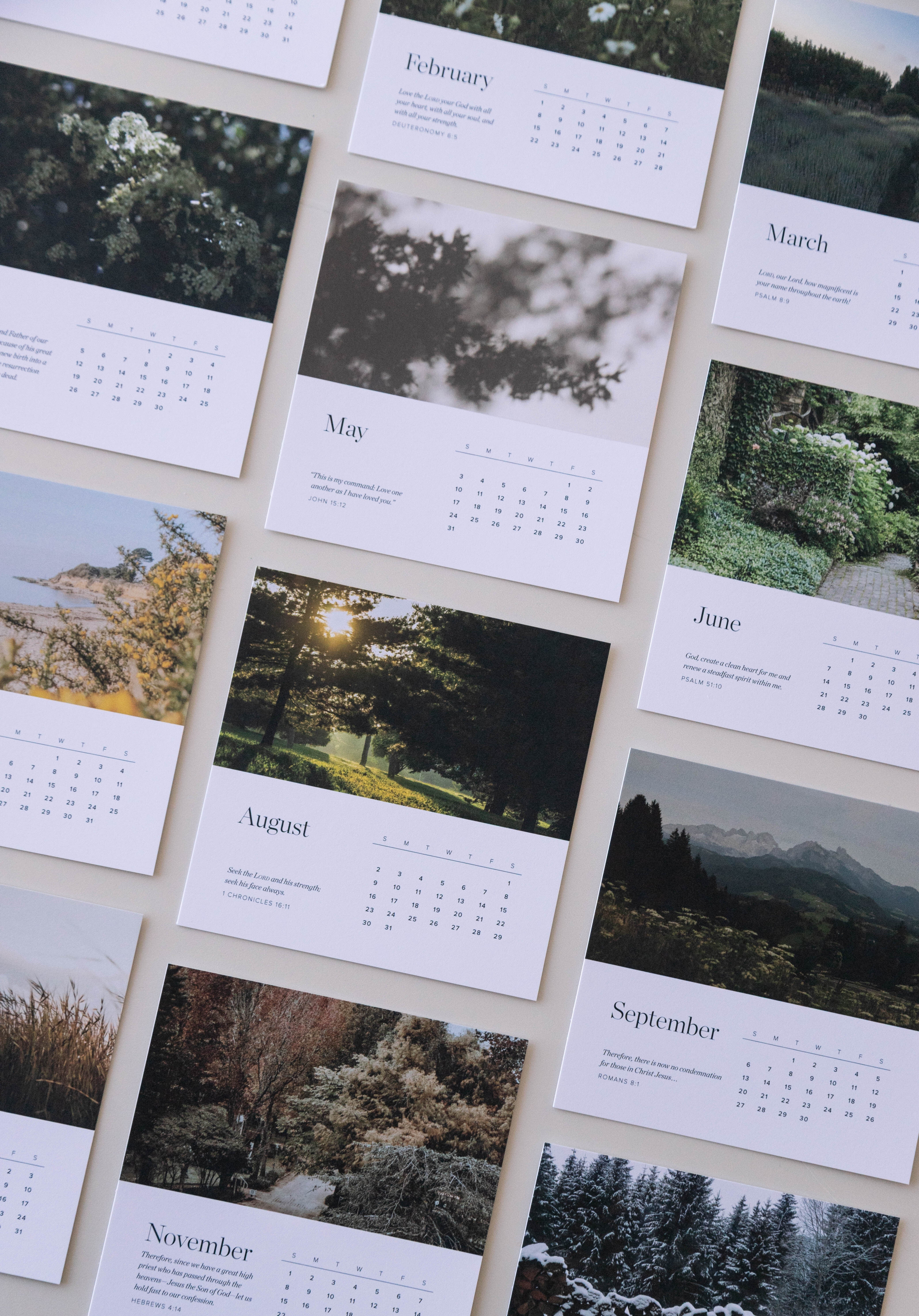 2026 Scripture Calendar Card Set - Image 2