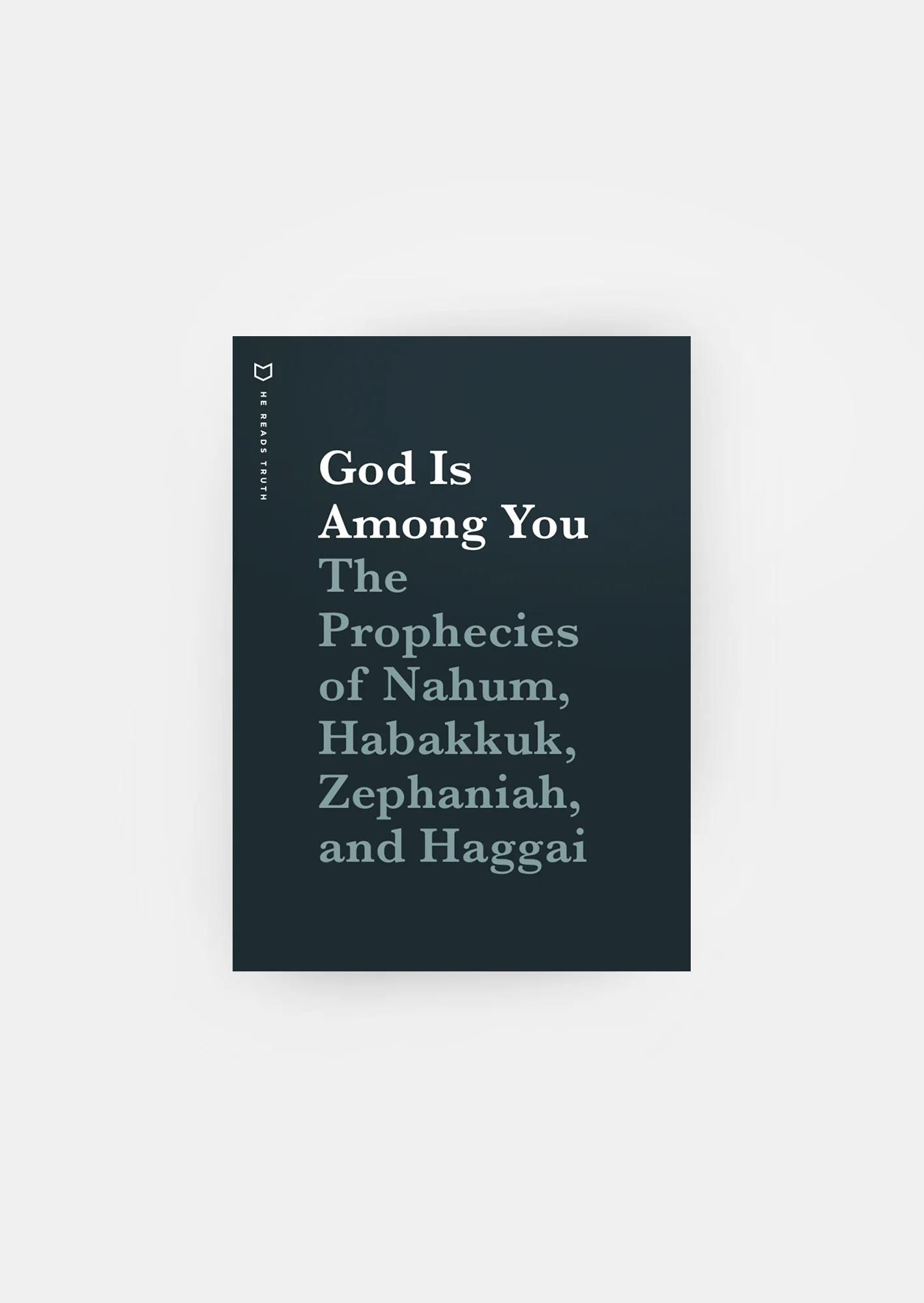God Is Among You Men's Reading Guide