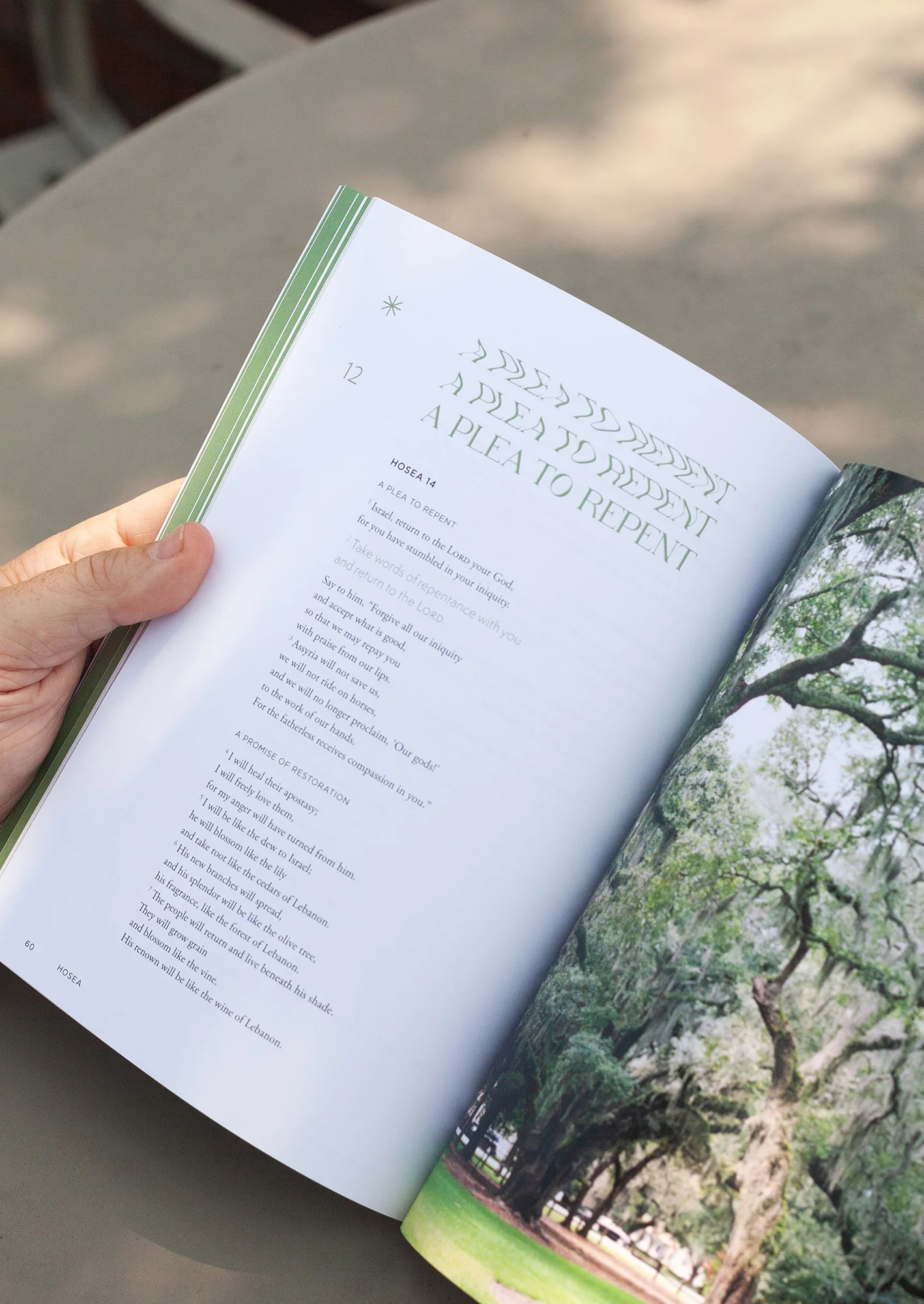 Hosea Men's Reading Guide - Image 2