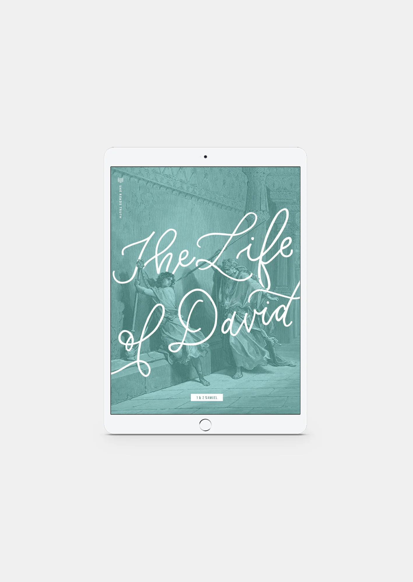 1 & 2 Samuel: The Life of David Women's Reading Guide (DIGITAL)