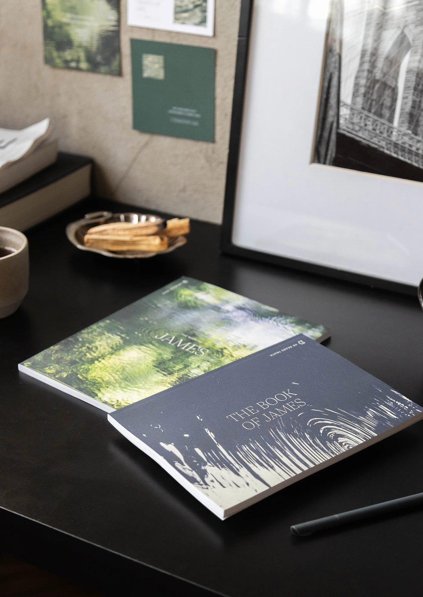 James Women's and Men's Reading Guide Bundle - Image 3
