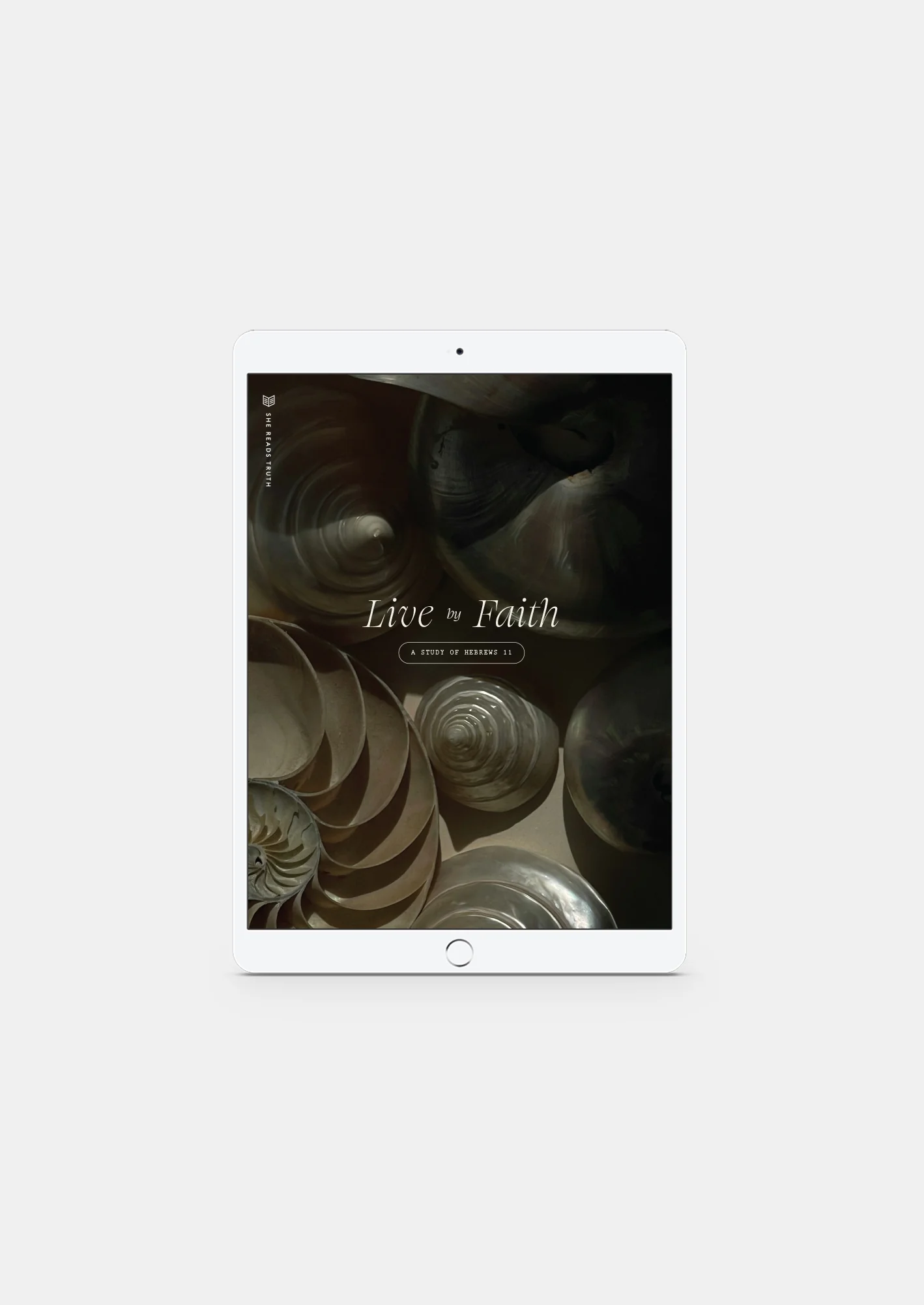 Live by Faith: A Study of Hebrews 11 Women's Reading Guide (DIGITAL)