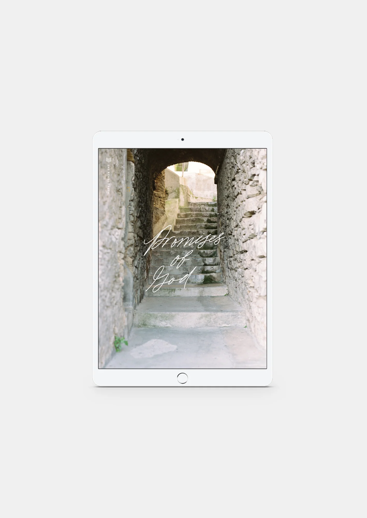 Promises of God Women's Reading Guide (DIGITAL)