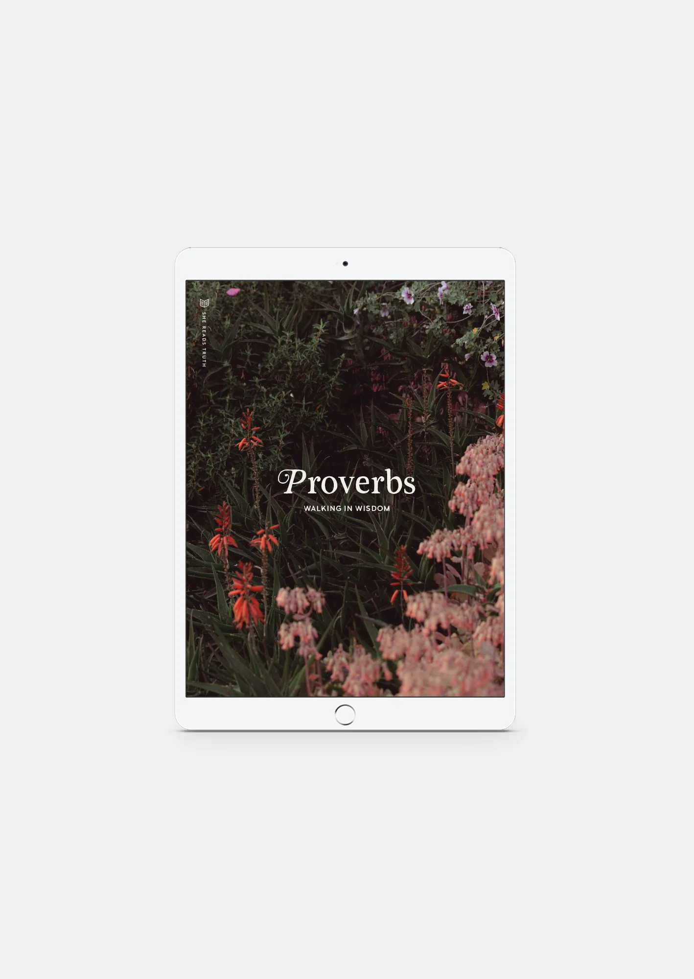 Proverbs: Walking in Wisdom Women's Reading Guide (DIGITAL)