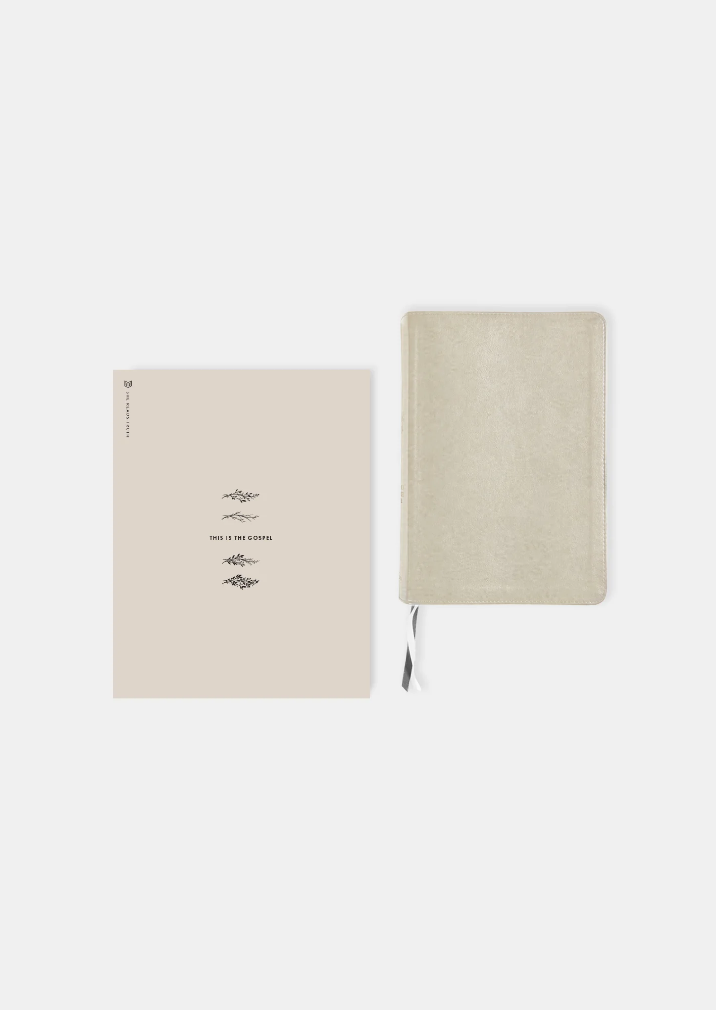 She Reads Truth Starter Bundle