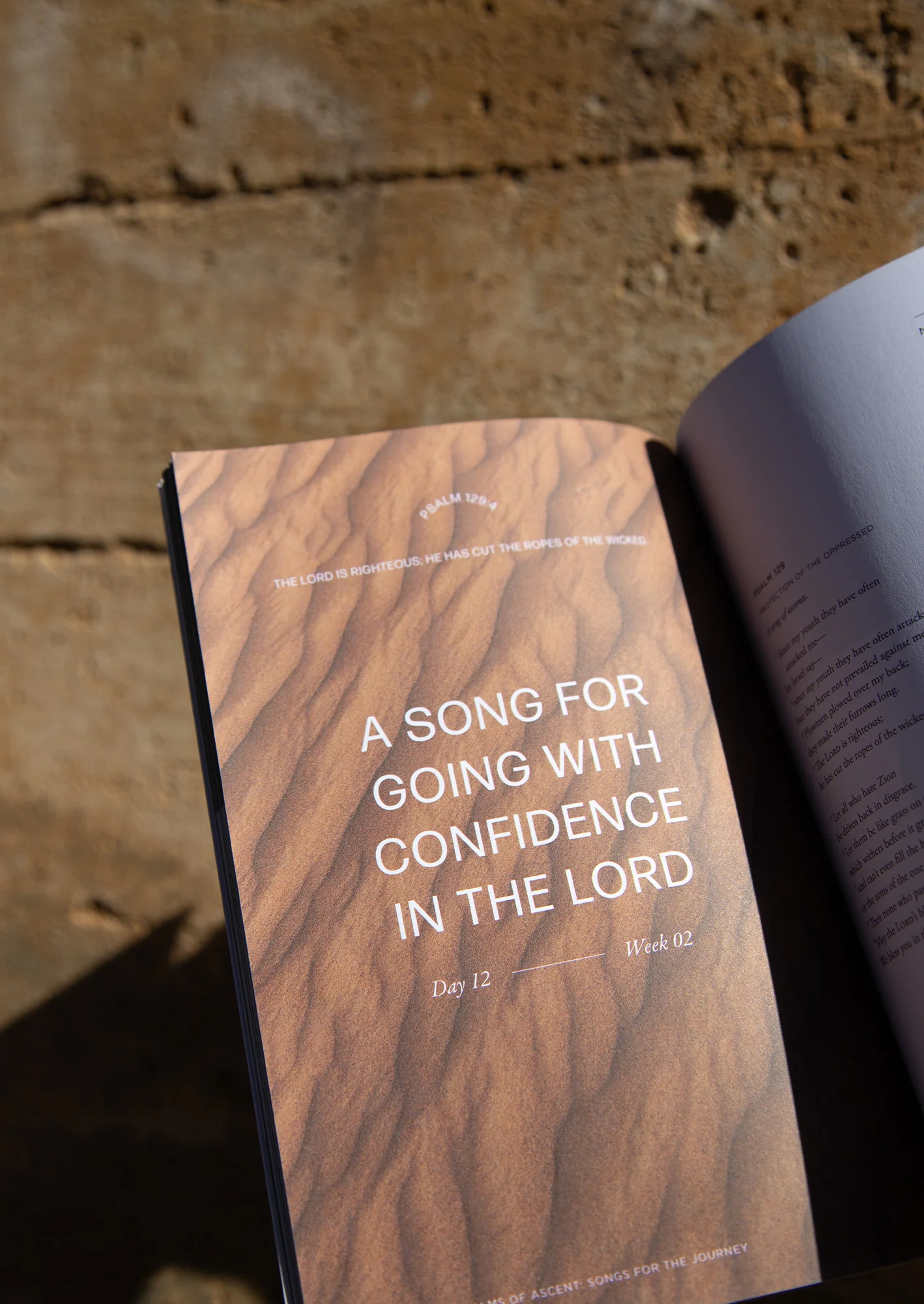 The Psalms of Ascent Men's Reading Guide - Image 2