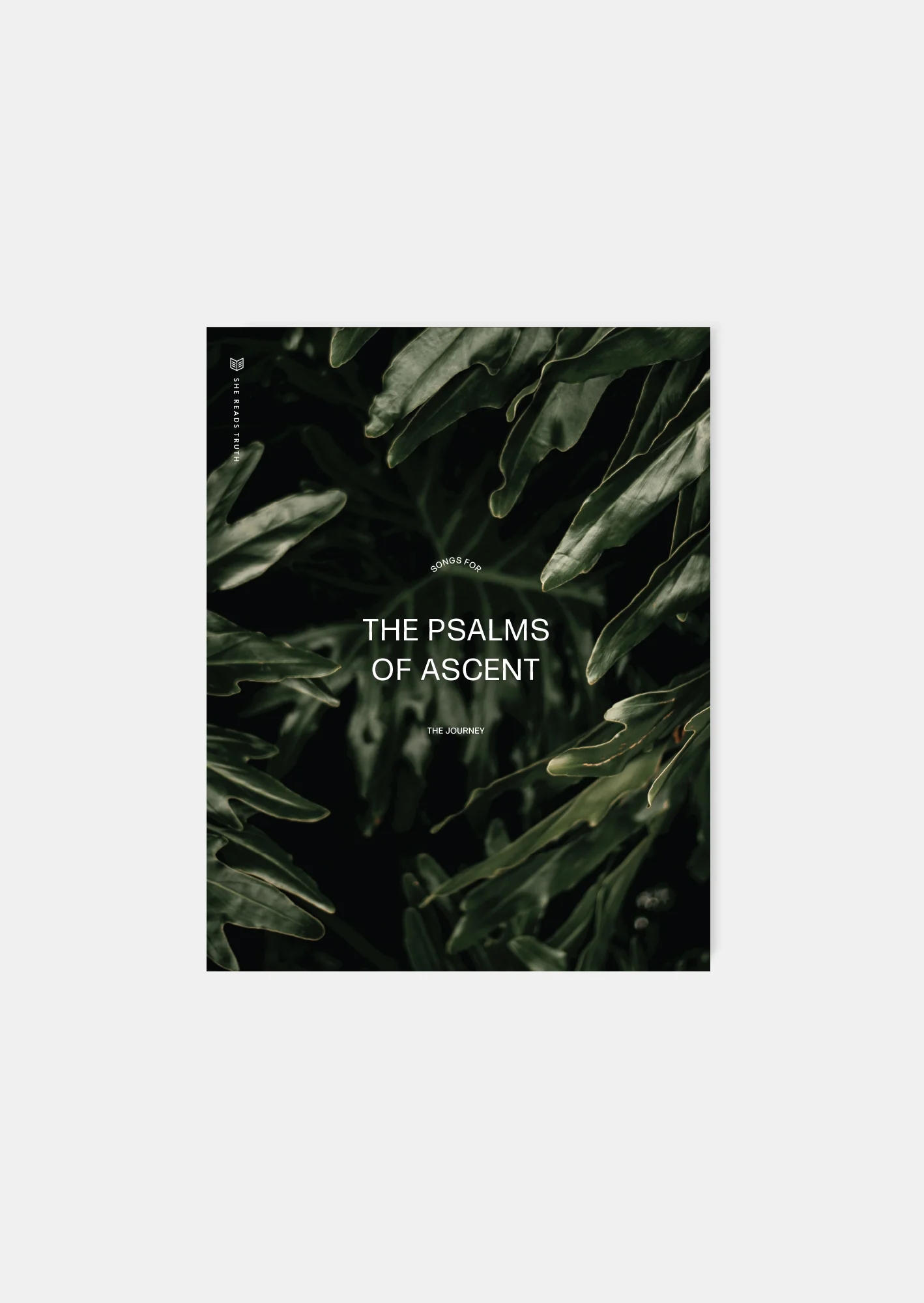 The Psalms of Ascent Women's Reading Guide