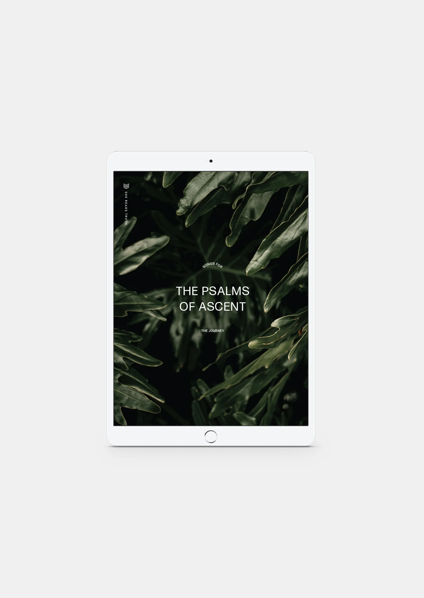 The Psalms of Ascent Women's Reading Guide (DIGITAL)