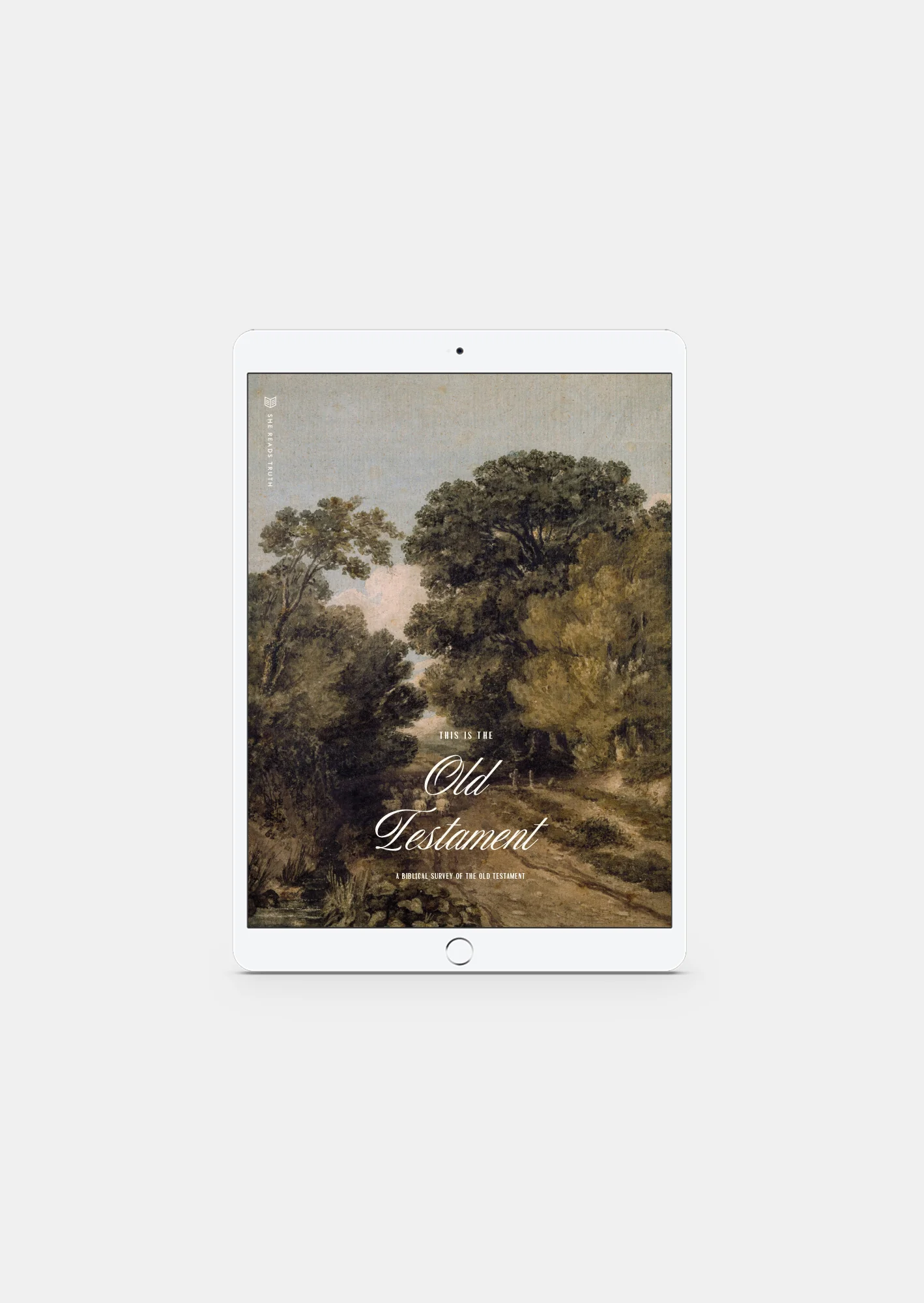 This Is the Old Testament Women's Reading Guide (DIGITAL)